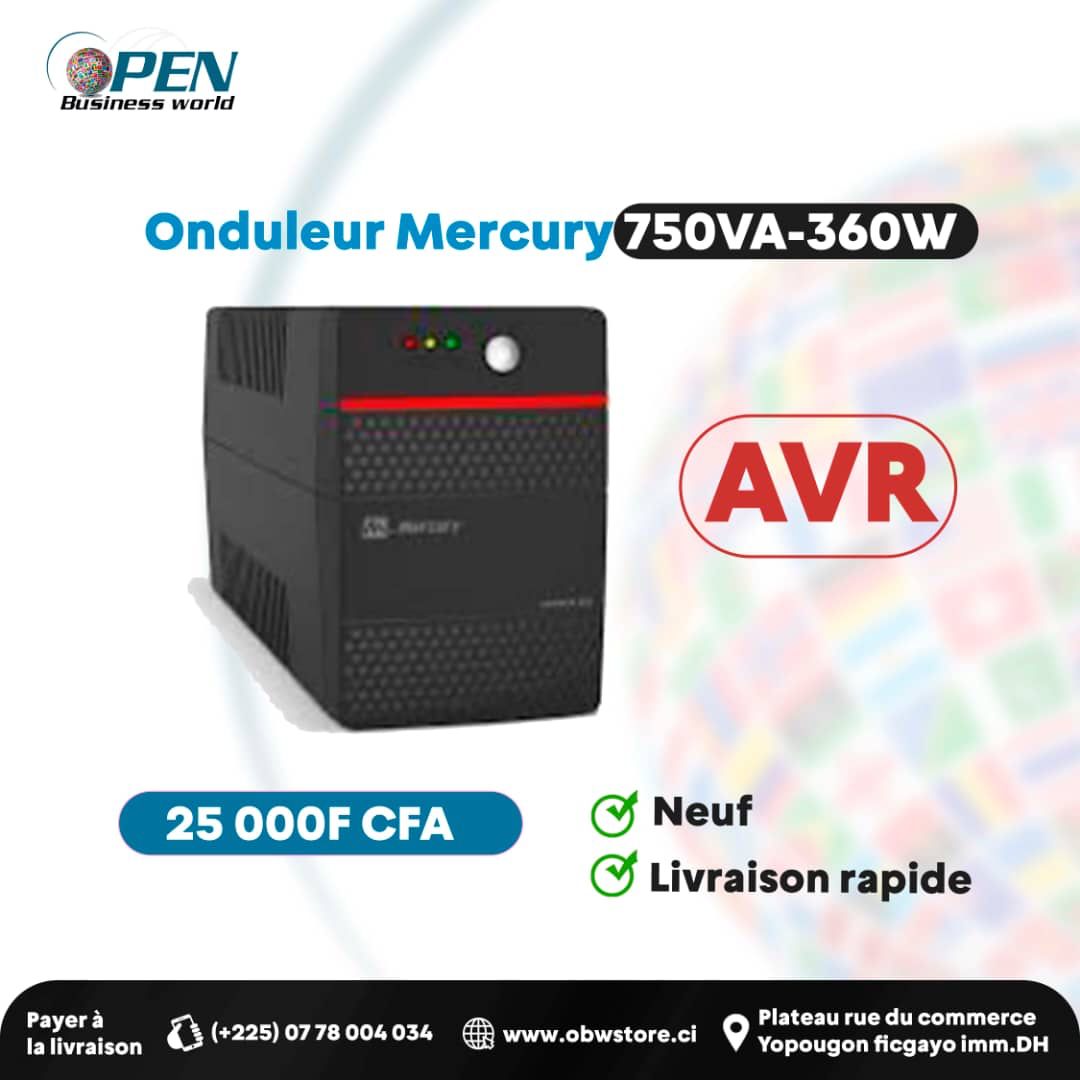 Onduleur Mercury 750 VA