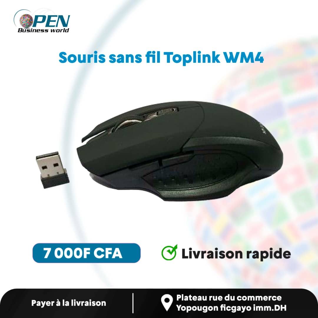 Souris Sans Fil Toplink WM4